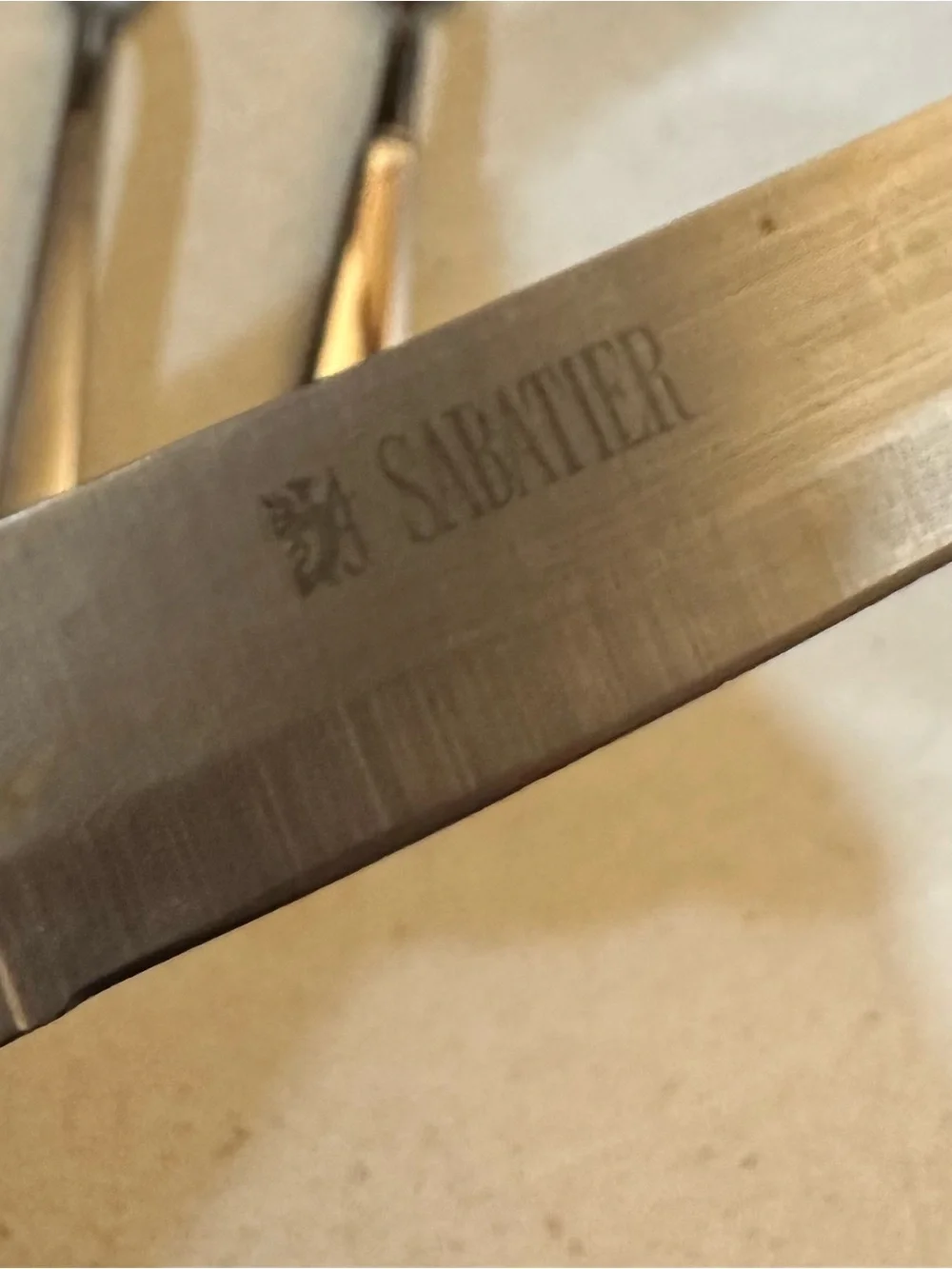 Stainless Steel Steak Knife Set of 10 w/two butter knives